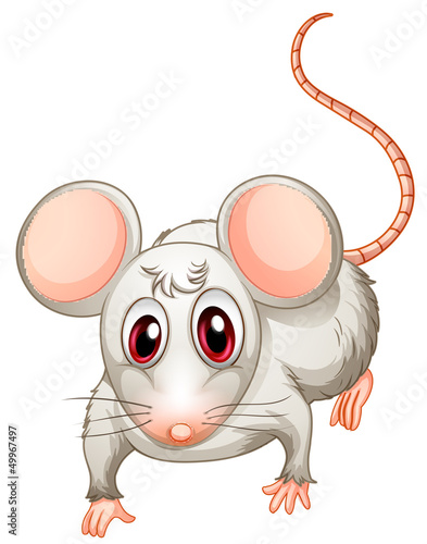 A four-legged creature