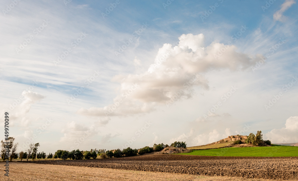 Sardegna, terreni agricoli su sfondo nuvoloso Sardegna, terreni agricoli su sfondo nuvoloso