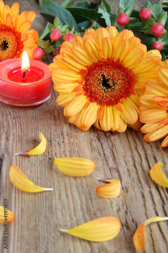 Gerbera mit Kerze