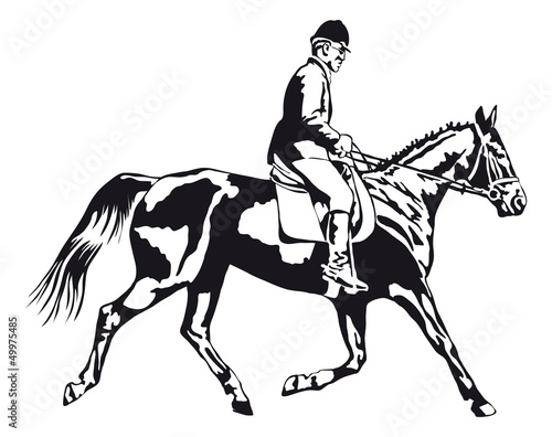 trotting horse with rider on tournament