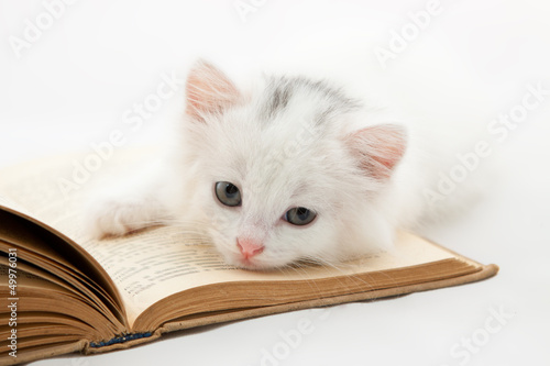 Cute kitten lying on old book isolated on white