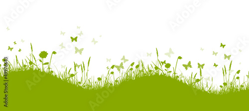 Grüne Frühlingswiese