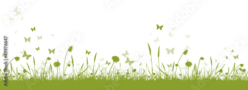 Grüne Blumenwiese