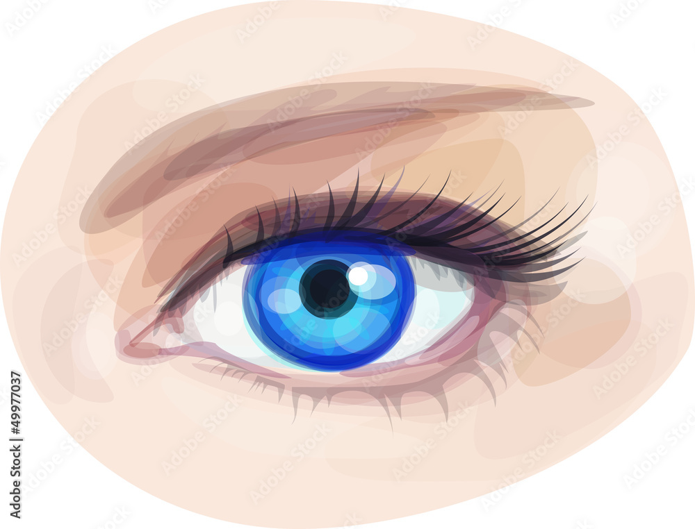 Vector beautiful blue woman's eye