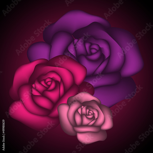 Rose Vector