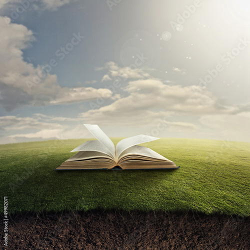 Картината върху платно Bible on grass.