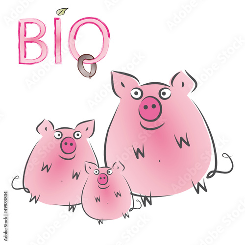 Bio - Schwein - Wurst - Fleisch - Gesundes Essen, Fleisch von glücklichen Schweinen, artgerechte Haltung unterstützen