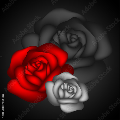 Red Rose