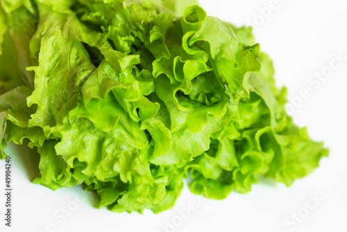 Lettuce isolated on white