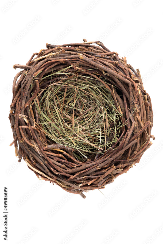 Empty nest