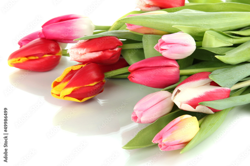 Beautiful tulips in bucket isolated on white Beautiful tulips in bucket isolated on white