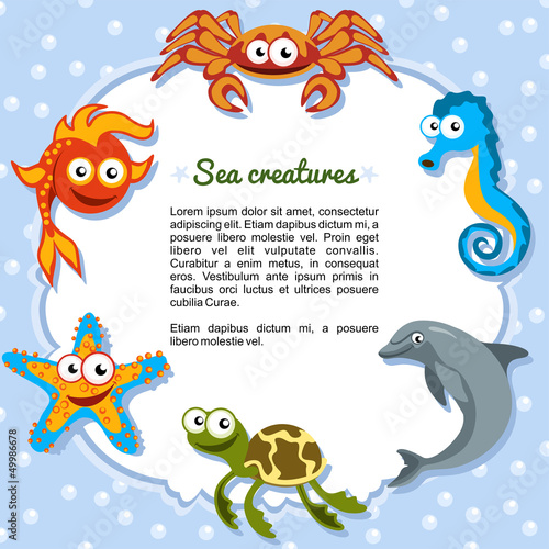 Animales marinos formando un marco