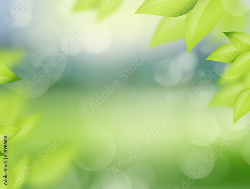Natural spring and summer background with selective focus and le