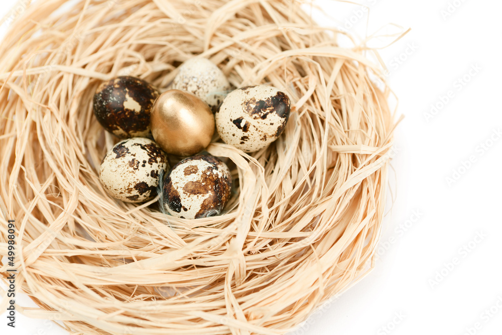 Miraculous nest with golden and natural quail eggs Miraculous nest with golden and natural quail eggs