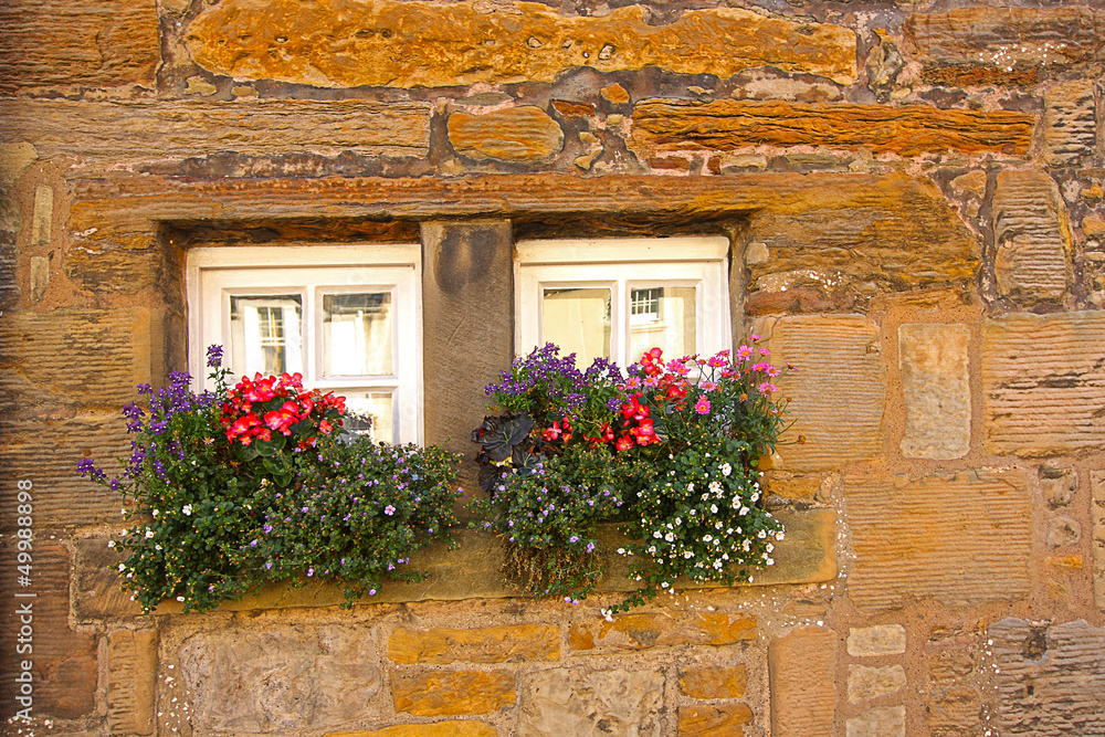 Tiny Scottish windows with flowers