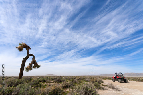 Off Road Vehicle and Joshua Tree in Desert photo