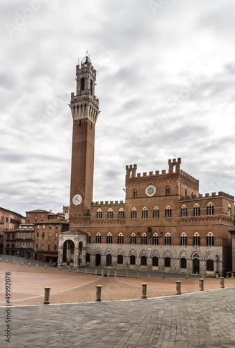 Piazza del campo and public buildings, Siena (Italy)