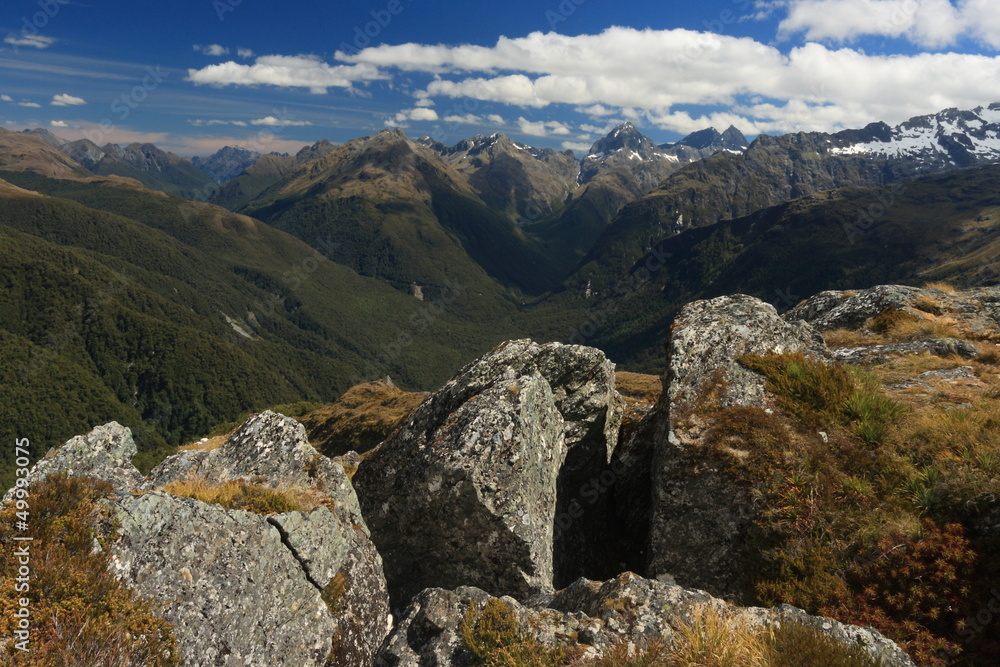 Obraz premium rock boulders above Hollyford Valley in Fiordland