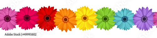 Photo Horizontal seamless background with colored gerbera. Vector.