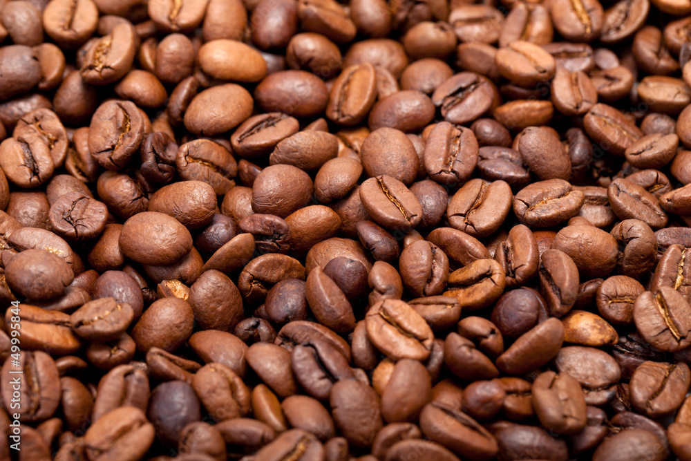 coffee beans close up isolated on white coffee beans close up isolated on white