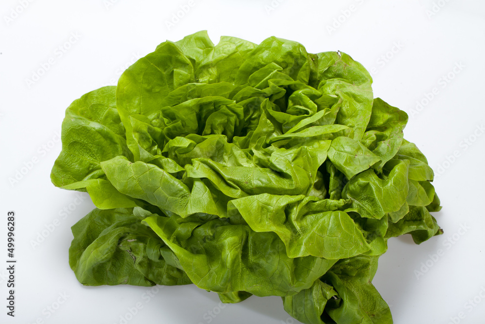 Fresh green Lettuce salad isolated on white background Fresh green Lettuce salad isolated on white background