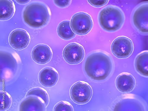 conceptual illustration of some cells