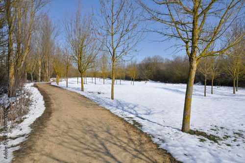 Salburua park in winter, Vitoria, Basque country (Spain) © Noradoa