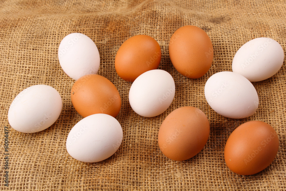 weiße und braune Bioeier weiße und braune Bioeier