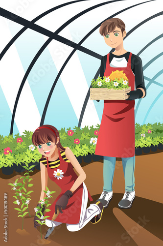 Planting in greenhouse