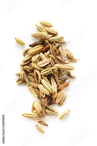 Spices - Fennel