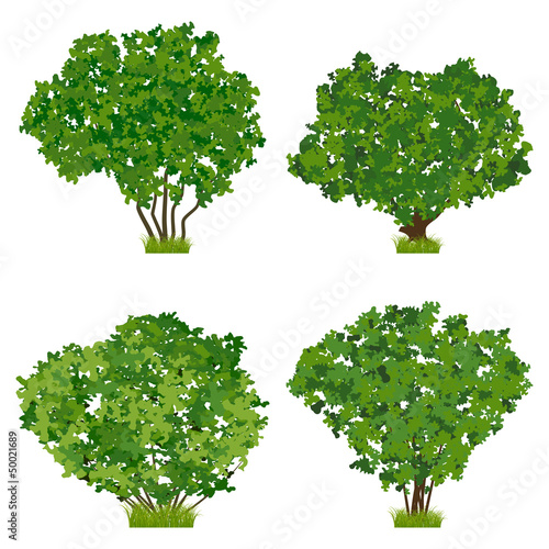 Summer bush vector set