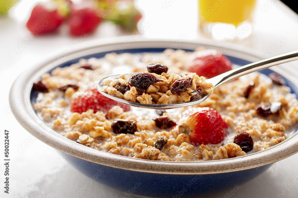 muesli and fruit muesli and fruit
