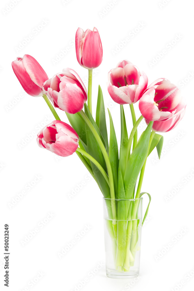 Bouquet of tulips in a vase