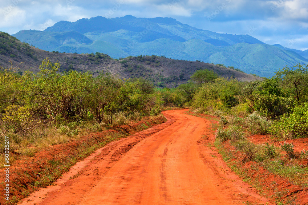 Obraz premium Red ground road and savanna. Tsavo West, Kenya, Africa