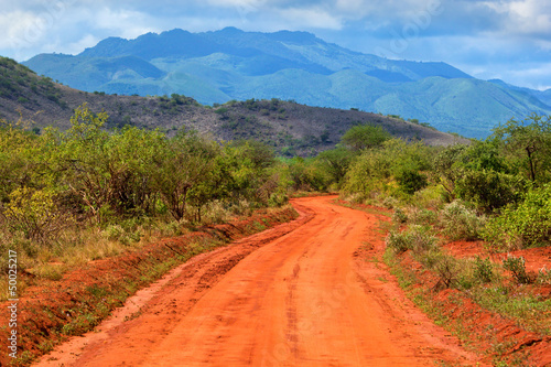 Red ground road and savanna. Tsavo West, Kenya, Africa