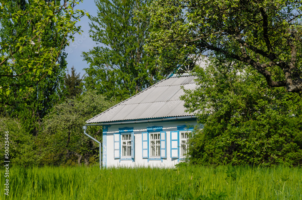 A typical white and blue Ukrainian house, in the countryside near Kiev	