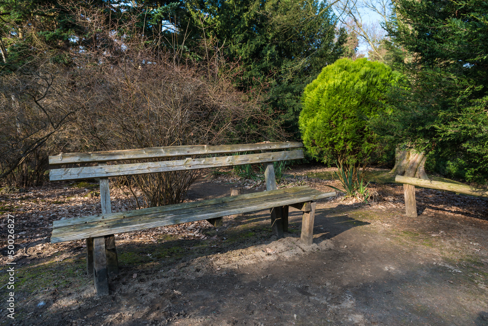 bench in park bench in park