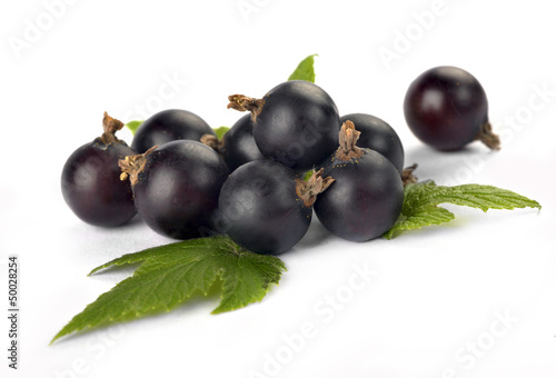 black currants with leaves