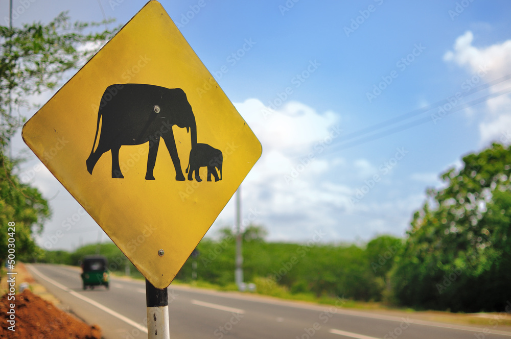 Road Sign: Caution Elephants.