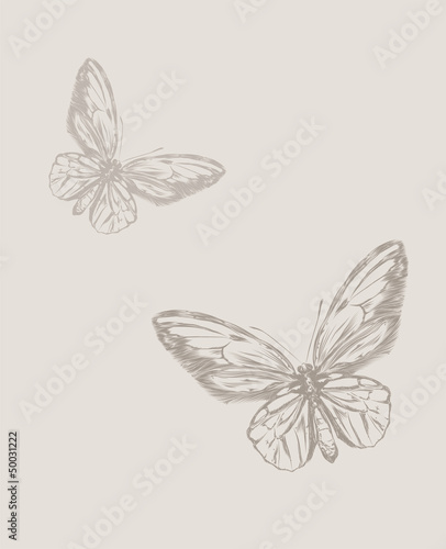 Vintage hand drawing butterfly vector eps 8