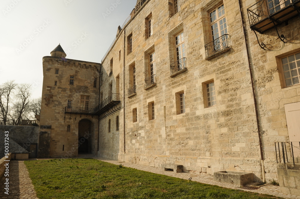 Obraz premium Château de la Roche-Guyon