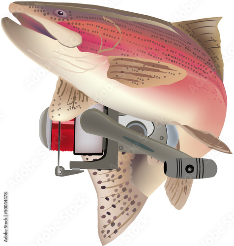 trota salmonata