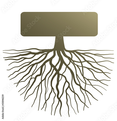 Concept with tree root