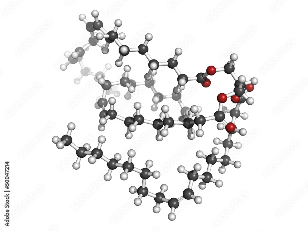 Vegetable oil unsaturated triglyceride molecule Vegetable oil unsaturated triglyceride molecule