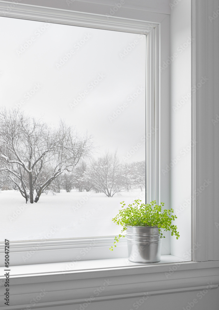 Fototapeta premium Green plant and winter landscape seen through the window