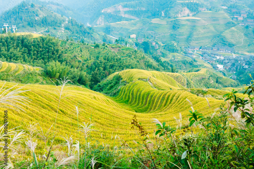 Rice field on terraced in mountain.