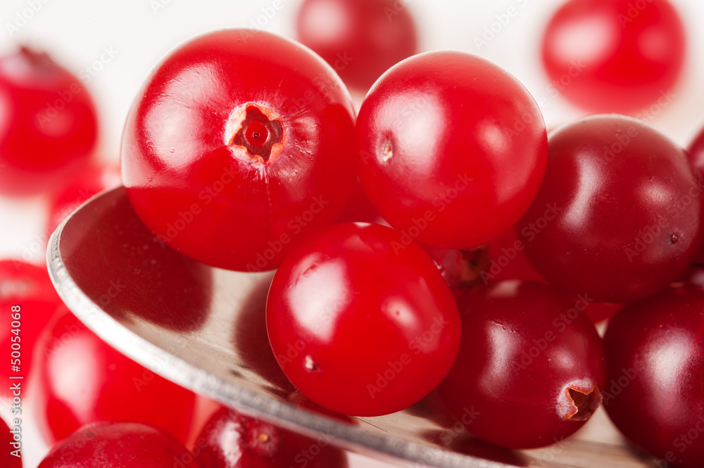 Ripe cranberry macro Ripe cranberry macro