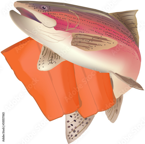 trota salmonata