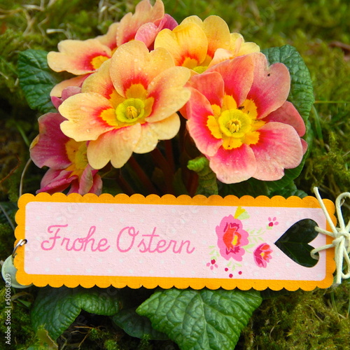 Ostergrüße mit Blumen - Fro...