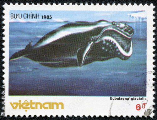 stamp printed in Vietnam shows North Atlantic right whale